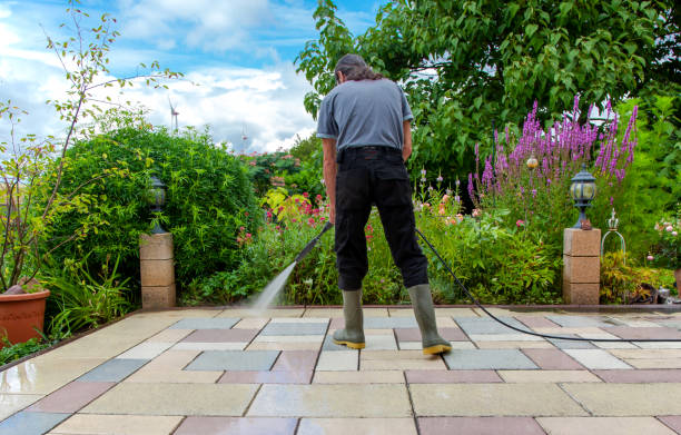 Professional Pressure Washing in Fox Lake, WI