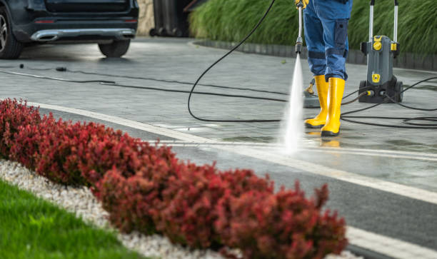 Best Rust Removal  in Fox Lake, WI