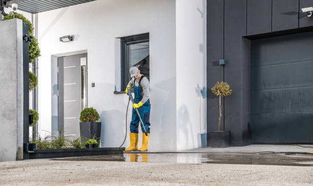 Best House Exterior Washing  in Fox Lake, WI
