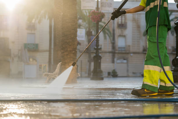 Best Solar Panel Cleaning  in Fox Lake, WI